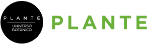 WEB5 Logo